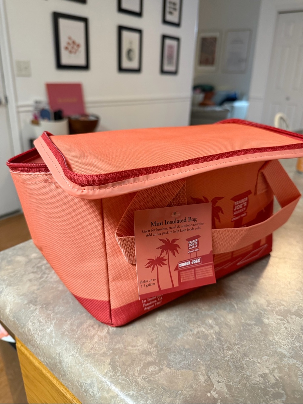 New!!! Trader Joe's Coral Mini Insulated Cooler Bag